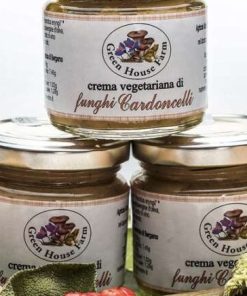 Crema vegetariana di funghi cardoncelli