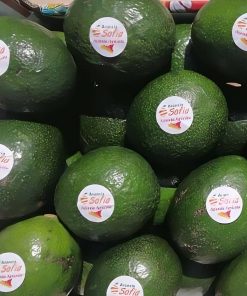 Avocado Siciliano – Box Risparmio