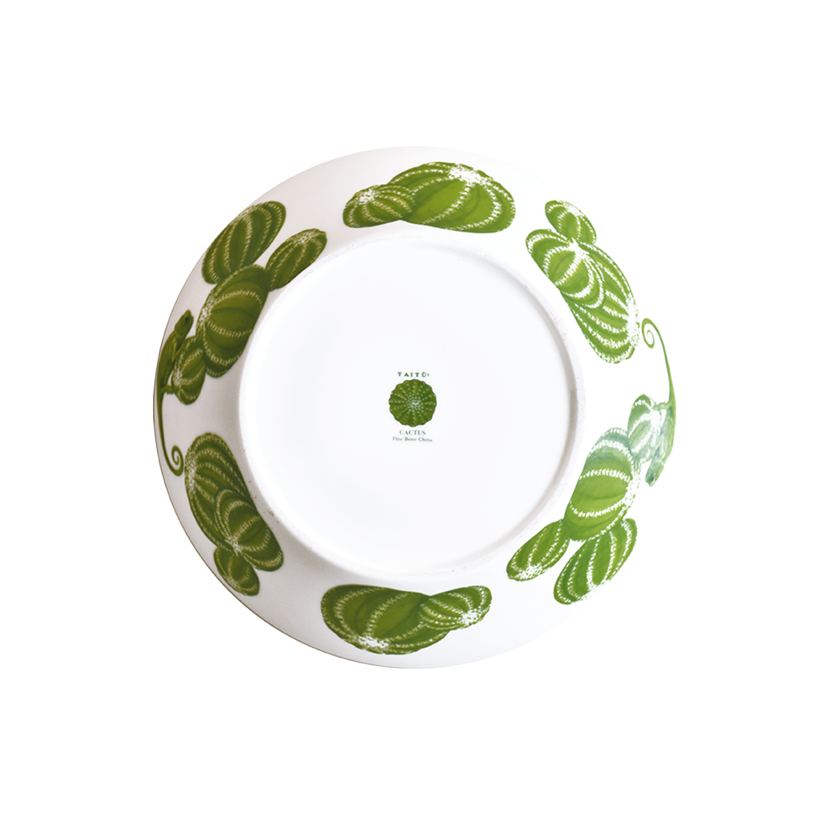 Taitù Cactus Insalatiera Media - immagine 4