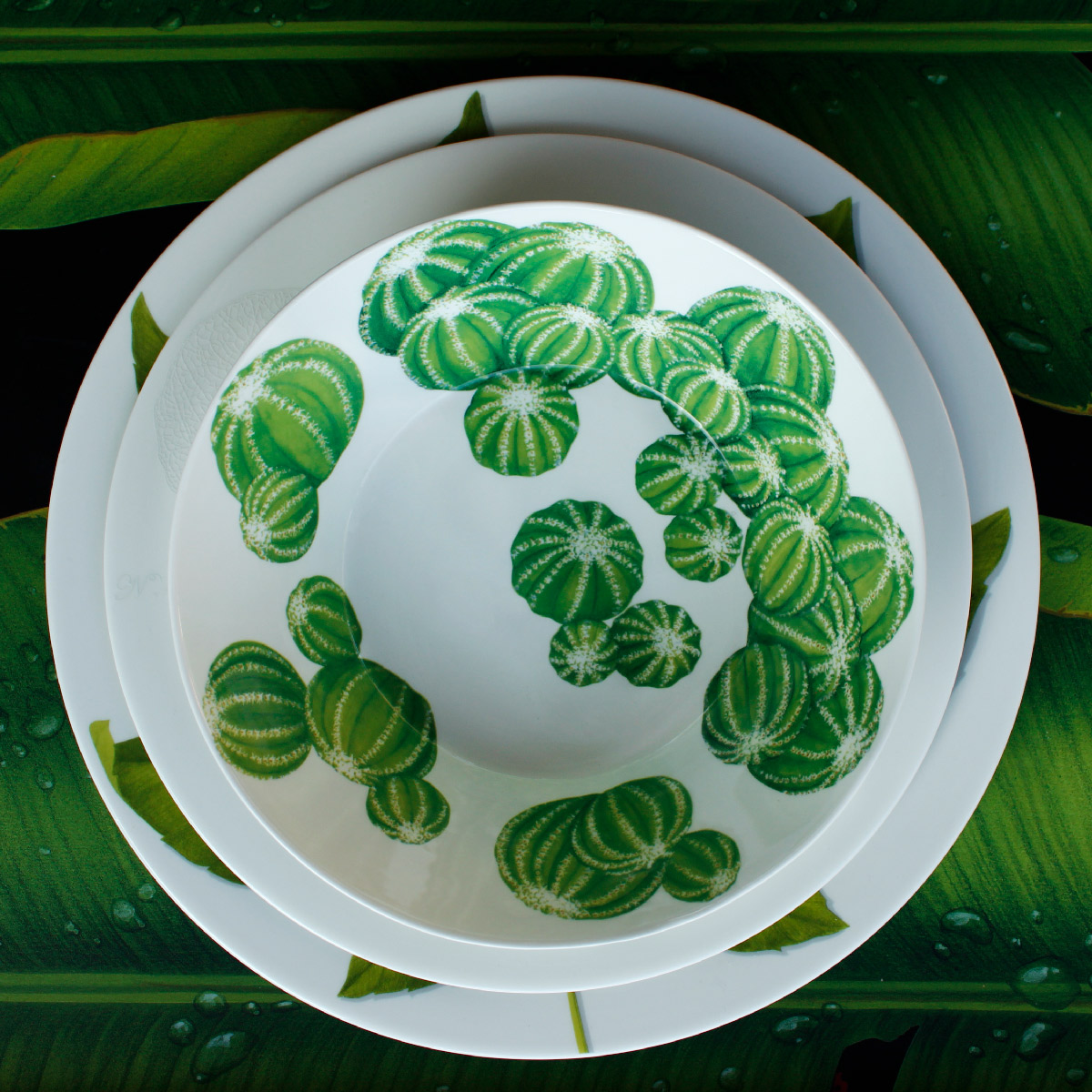 Taitù Cactus Insalatiera Media - immagine 6