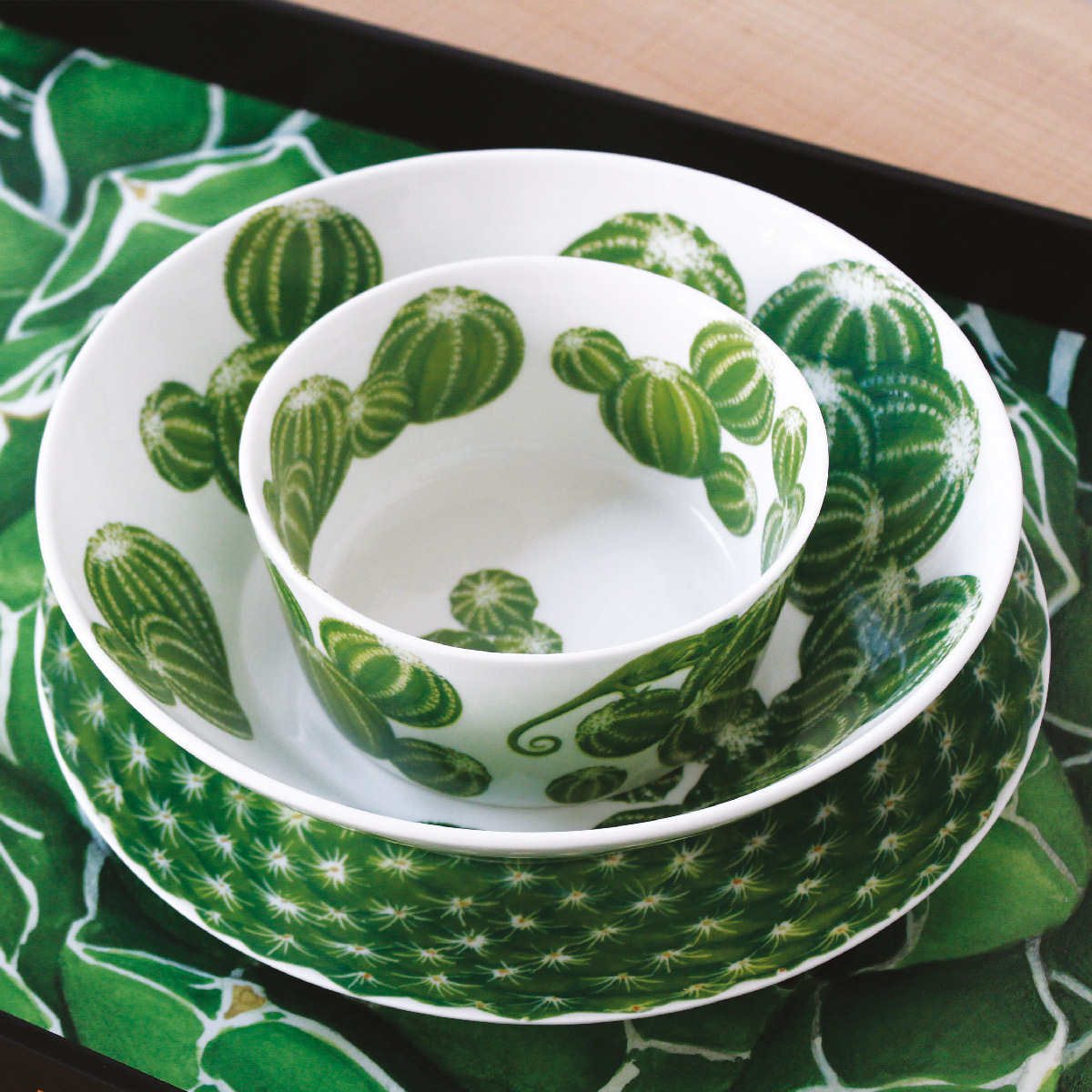 Taitù Cactus Insalatiera Media - immagine 9