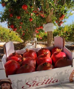 Melograno siciliano wonderful (Box da 14 Kg)