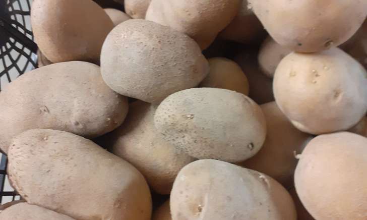 Patate gialle - immagine 2