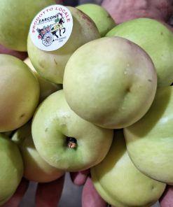 Pesca Merendella (Sbergia)