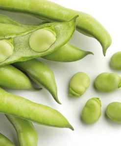 Fave fresche siciliane