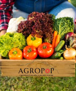 Box Ortofrutta CIRCEO