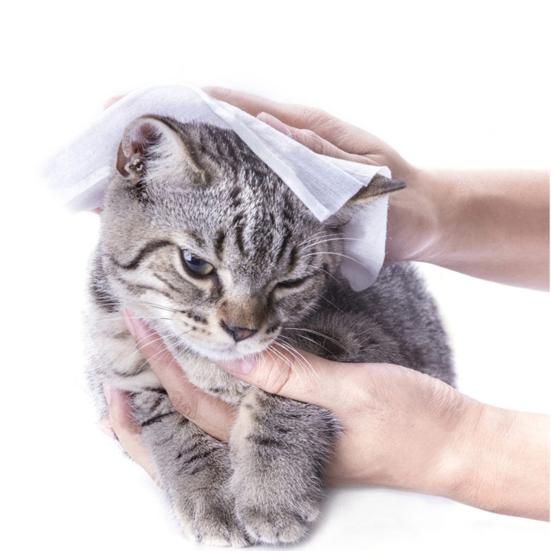 Napkin Kit 12 Salviette Compresse Rinfrescanti e Igienizzanti GO 08 - immagine 6