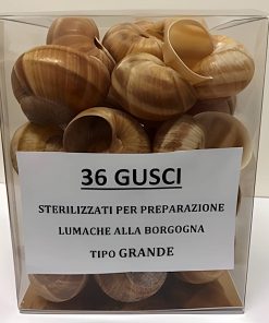 Gusci di Lumaca Helix da riempire pronti per la cucina