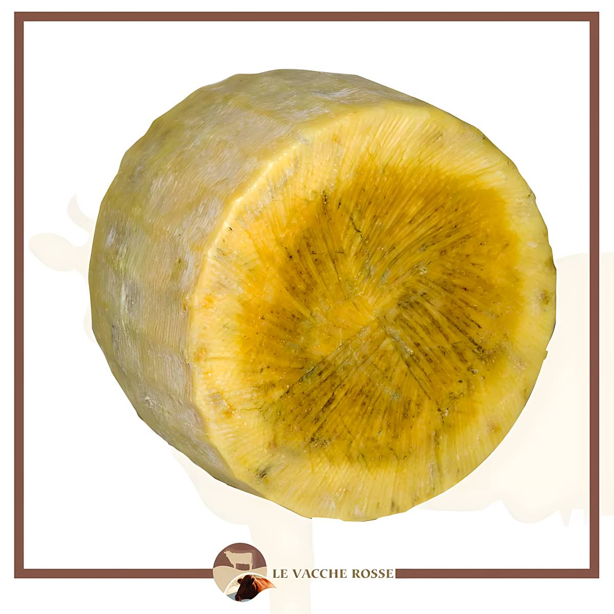 Cacio Stagionato di Vacca Modicana - immagine 2