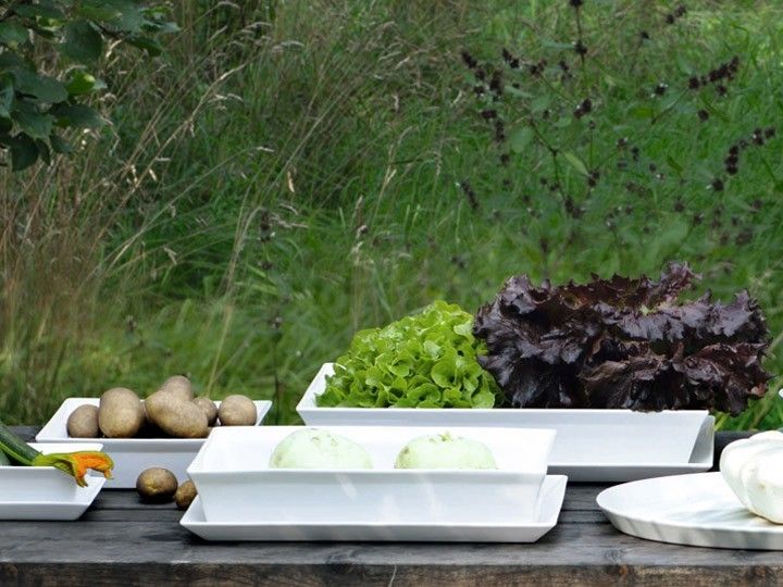 Asa Selection 250C Plus Pirofila Rettangolare 34X22X7 Cm - immagine 4