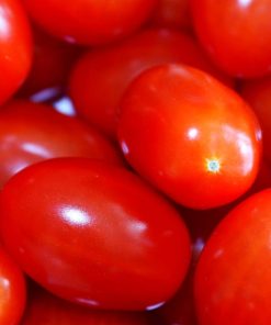 Pomodorino Datterino Rosso