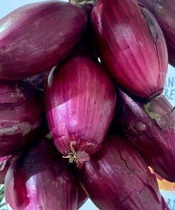 Cipolla Rossa di Tropea IGP