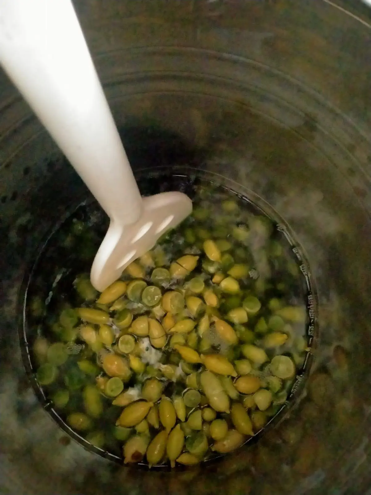 Amaro Tropicale Siciliano Èlimo - immagine 8