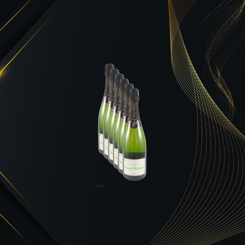 Champagne Veuve Pelletier Brut Biologique 6 Bottiglie