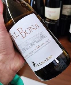 Belisario Verdicchio Di Matelica Terre Di Valbona