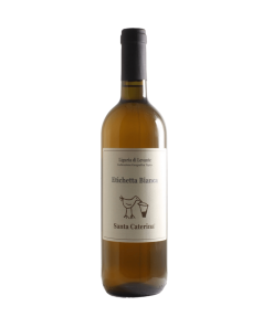 Santa Caterina – Etichetta Bianca 2019