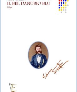 IL BEL DANUBIO BLU