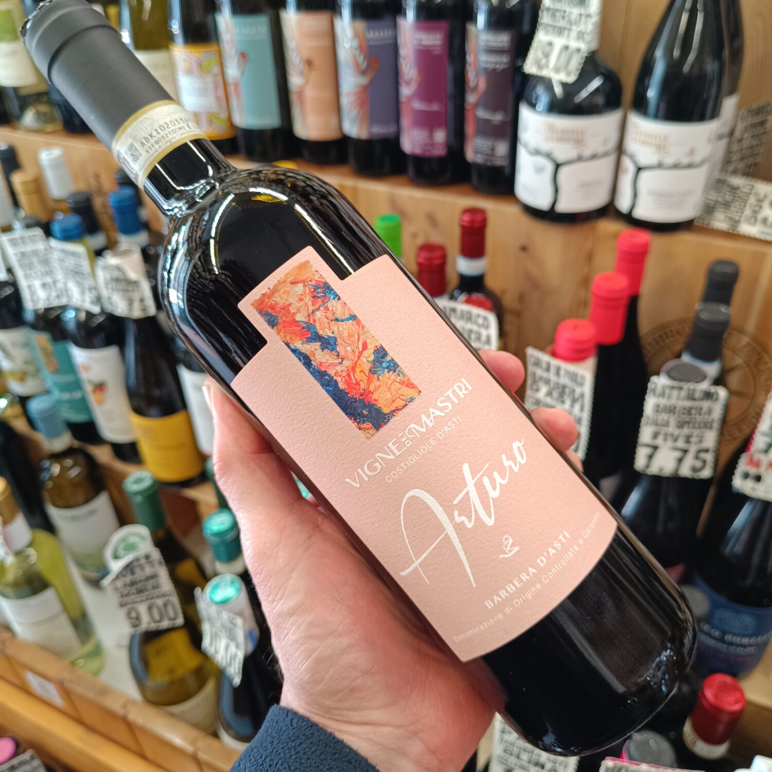 Vigne Dei Mastri Arturo Barbera D’Astii Docg Acciaio