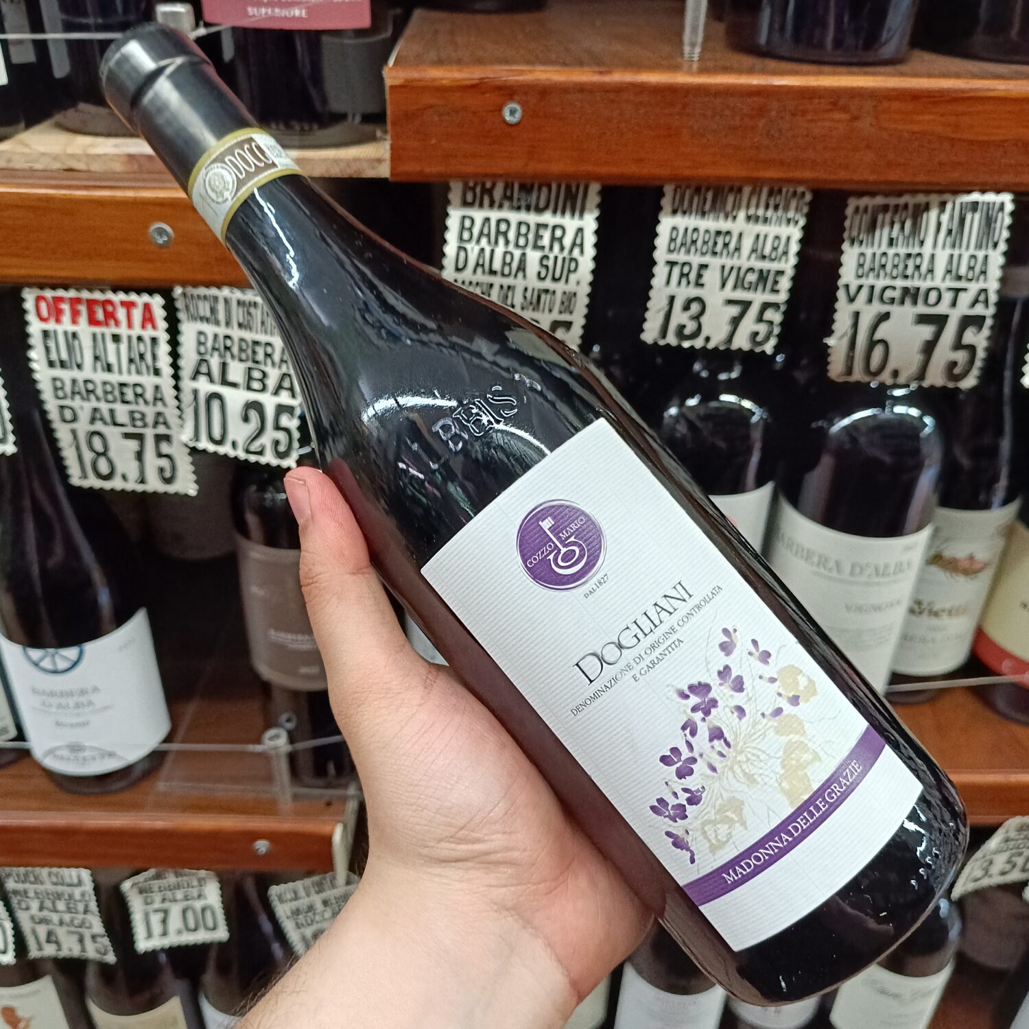 Cozzo Mario Dogliani Docg Madonna Delle Grazie - immagine 2