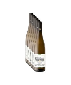 Muller Thurgau Alto Adige DOC Bolzano 6 Bottiglie