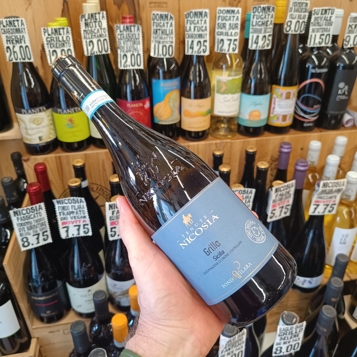 NICOSIA FONDO FILARA BIO GRILLO - immagine 2