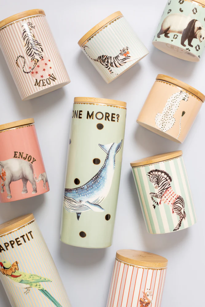 Yvonne Ellen Barattolo Piccolo Pappagallo - immagine 7