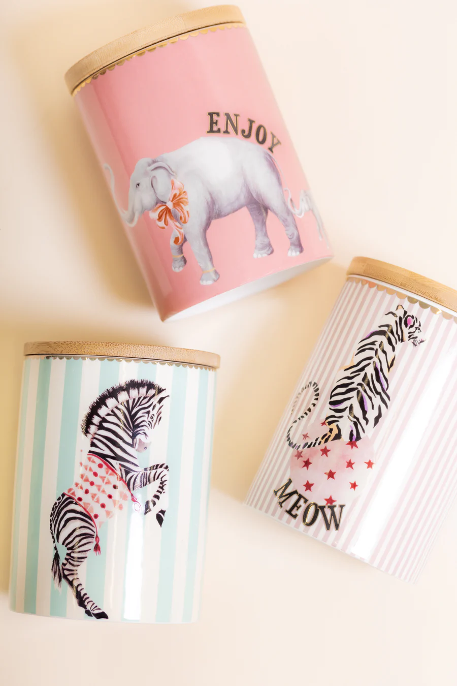 Yvonne Ellen Barattolo Piccolo Pappagallo - immagine 5