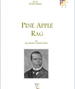 PINE APPLE RAG