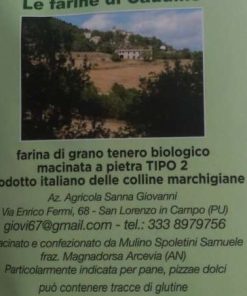 Farina di grano tenero antico tipo2 biologica