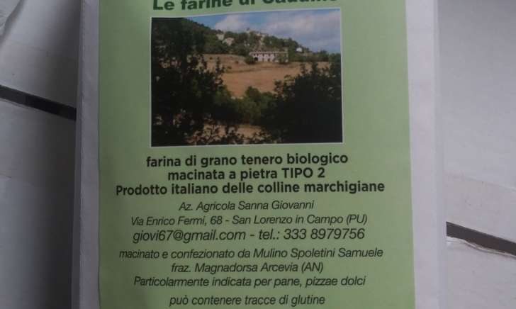 Farina di grano tenero antico tipo2 biologica