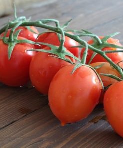 Pomodoro piccadilly siciliano