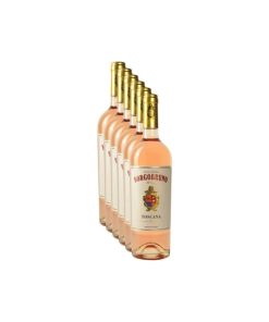 Rosato di Toscana IGT Borgobruno 6 Bottiglie