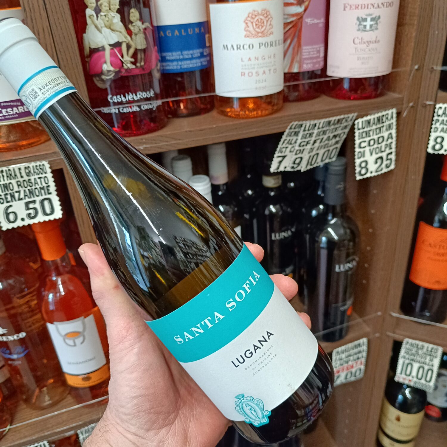 Santa Sofia Lugana - immagine 2