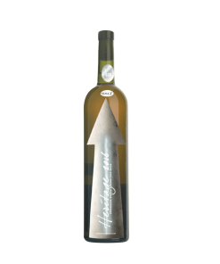 Giotto Bini – Zibibbo Heritage