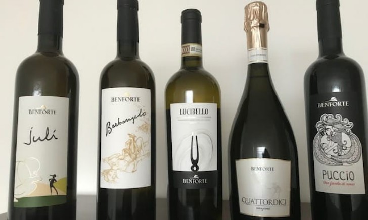 Degustazione dei nostri vini (5 bottiglie) - immagine 2