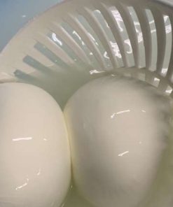 Mozzarella vaccina