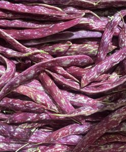 fagioli borlotti freschi con baccello