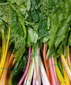 Biete colorate mazzetto