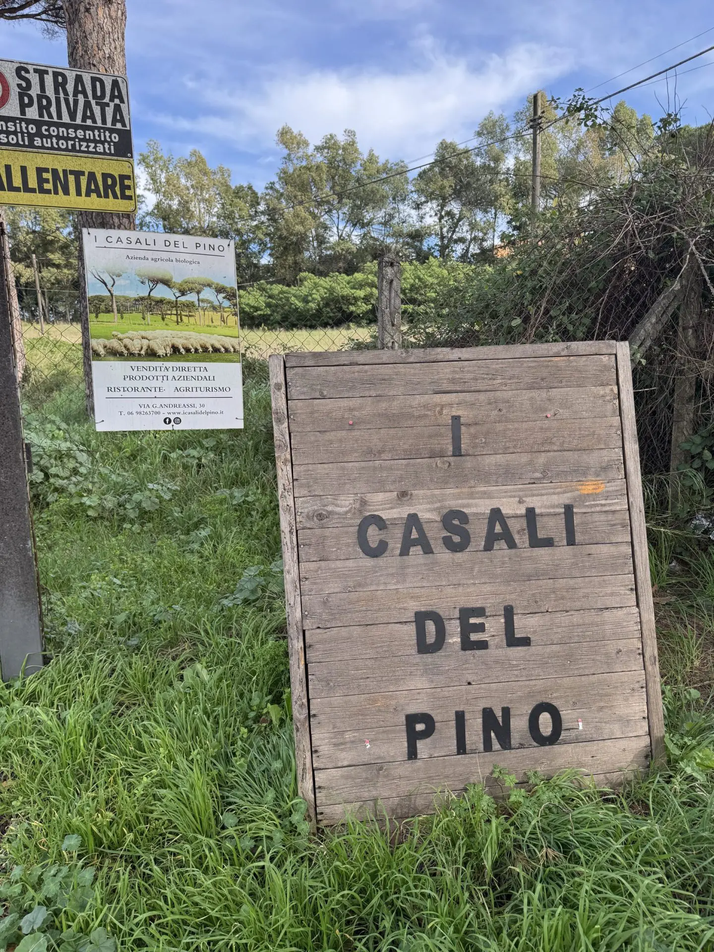 Caciotta al Pepe Nero Biologico 200g - immagine 5