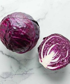 Cavolo Cappuccio viola