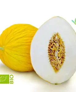 Melone Giallo Biologico 1,8Kg