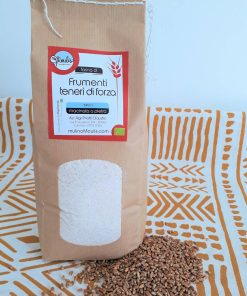 Farina di frumenti teneri di forza tipo 1 sacchetto 1kg