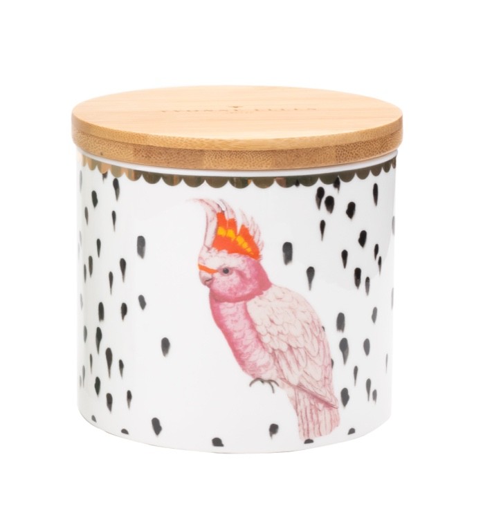 Yvonne Ellen Barattolo Piccolo Pappagallo - immagine 2