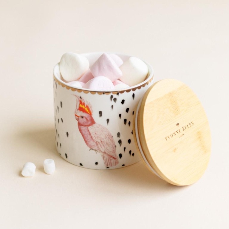 Yvonne Ellen Barattolo Piccolo Pappagallo - immagine 3