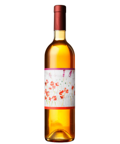 Podere Santa Maria Colleoni Ansonica