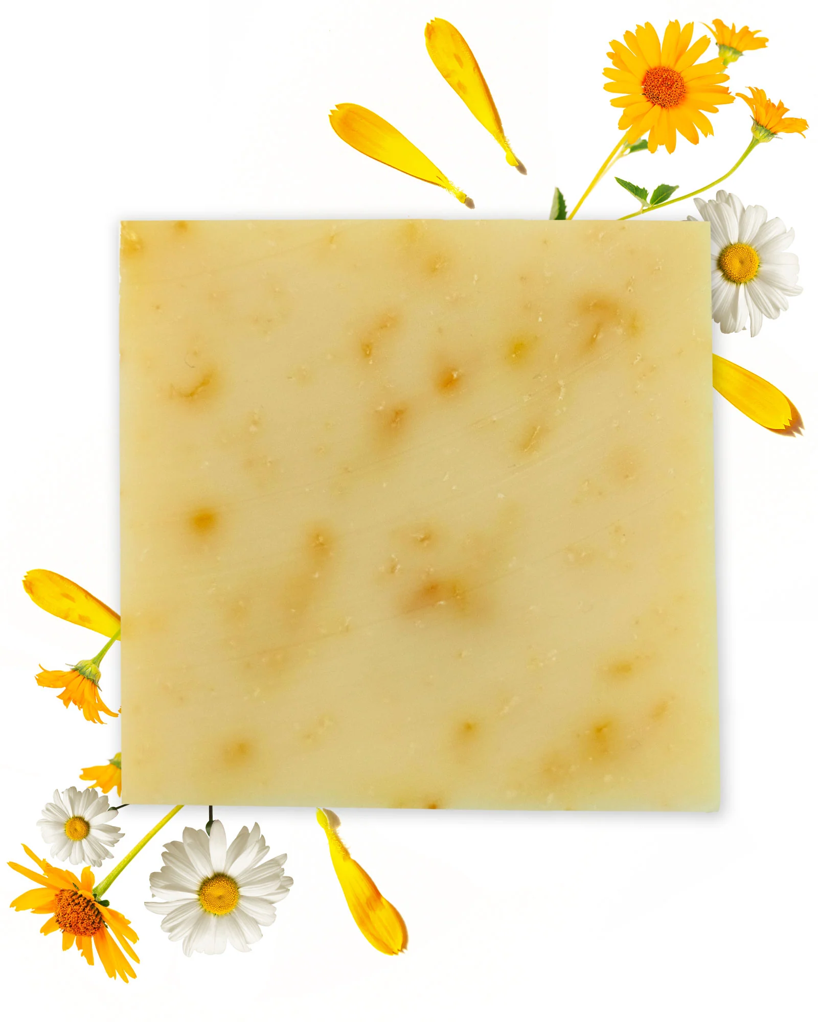 Sapone Camomilla e Calendula Biologico 100g - immagine 3