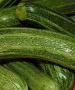 Zucchina genovese siciliana